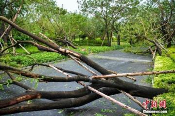 中国太平全力应对台风“杜苏芮”